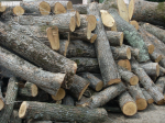 Дрова рубані, дрова твердих порід (Дуб, Граб, Ясен), дрова метровий кругляк Луцьк